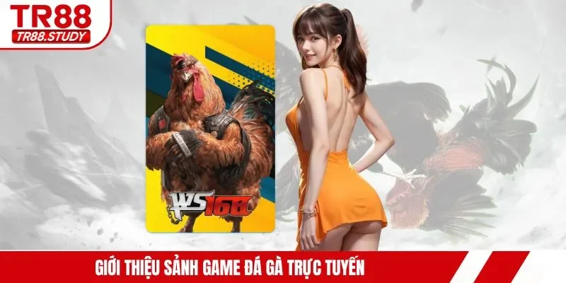 Giới thiệu sảnh game đá gà trực tuyến