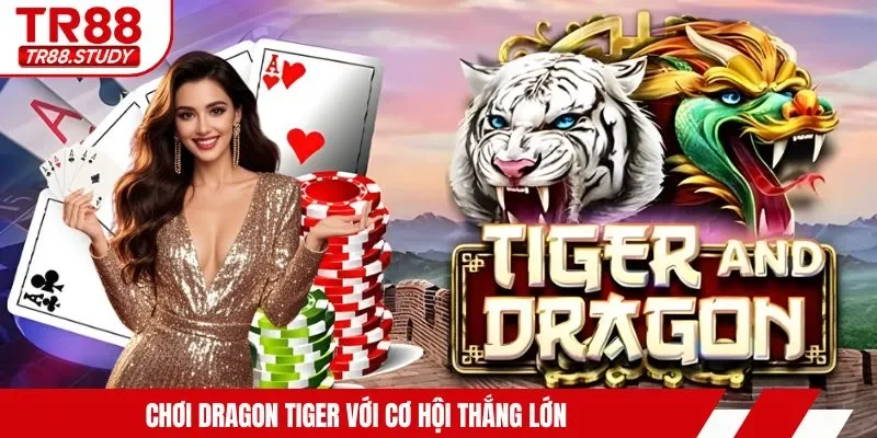 Chơi Dragon Tiger với cơ hội thắng lớn