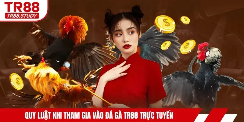Quy luật khi tham gia vào đá gà TR88 trực tuyến